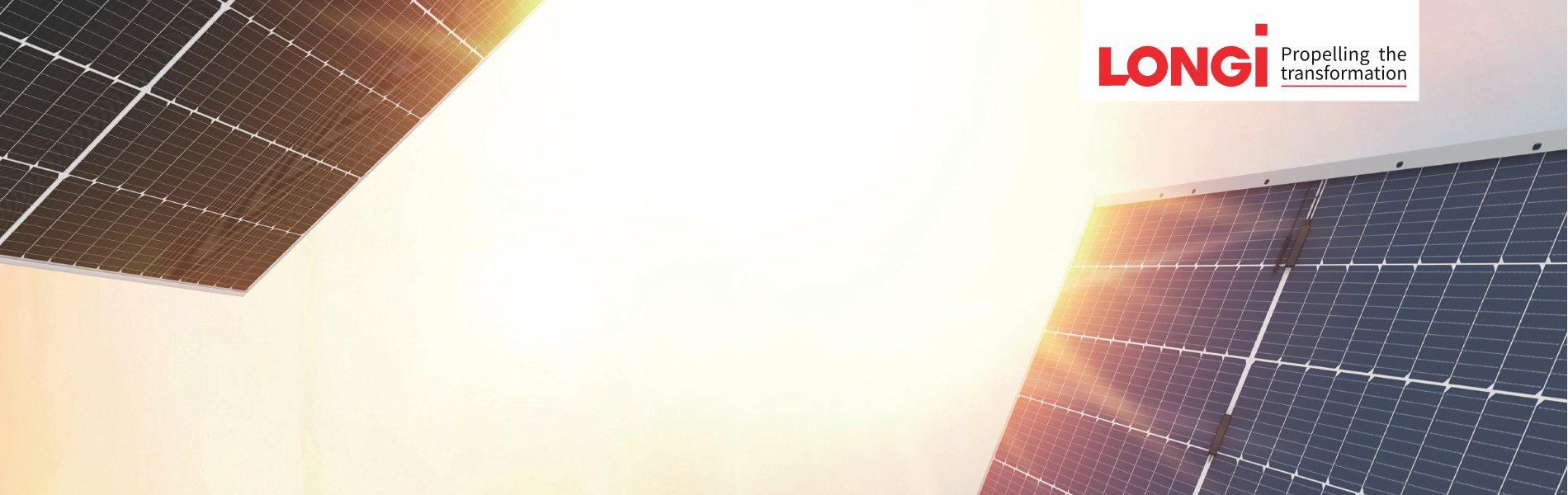 Longi Solar Panel Review and Quotes by Solar Experts